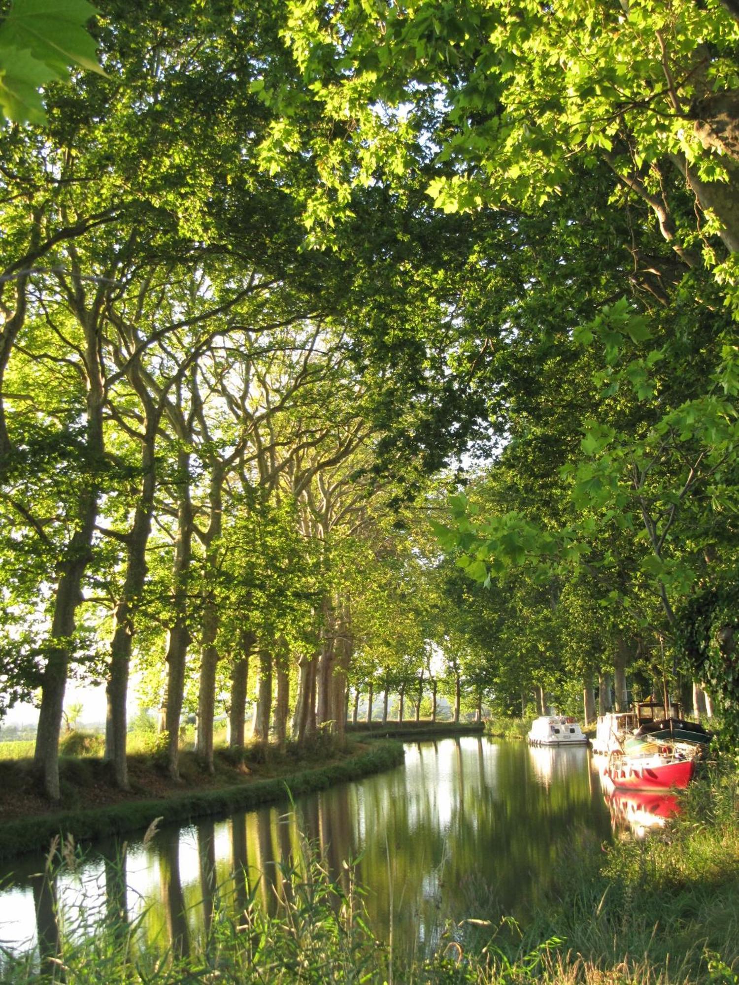 Chez Pauline & Vincent Cote Canal Carcassone Kültér fotó